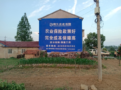 邵东墙体广告为何受追捧？